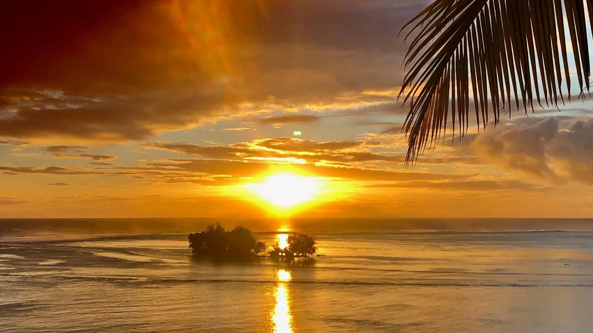 Fare Mirimiri Villa Uturoa Holiday home